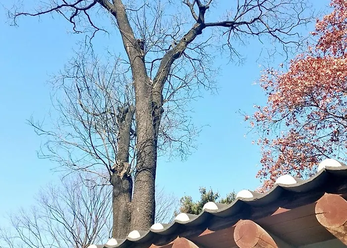 Jinique In Cozy ,2 ,3 Queen Beds, Gyeongbokgung Mrt 10min ,6person Possible,restaurant Street,hanbok Trip,near Gwanghwamun And Gyeongbokgung Palace *
